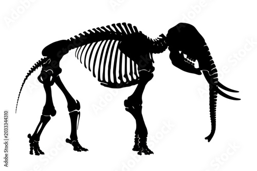 Elephant Skeleton Silhouette: A stark, black silhouette of an elephant skeleton, showcasing its skeletal structure and imposing form, presented against a clean white background.