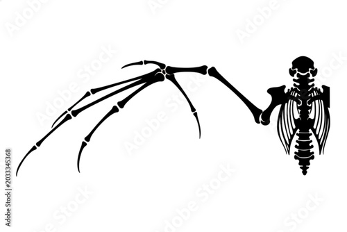Tableau sur toile Bat Wing Skeleton Illustration: A detailed black and white illustration showcasing the skeletal structure of a bat's wing and upper torso, highlighting the intricate bone arrangement