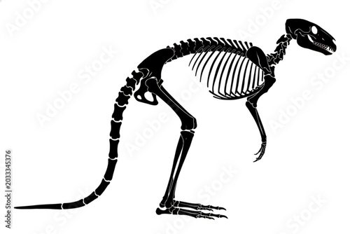 Dinosaur skeleton illustration: A detailed black and white illustration of a dinosaur skeleton, showcasing its skeletal structure and anatomy.