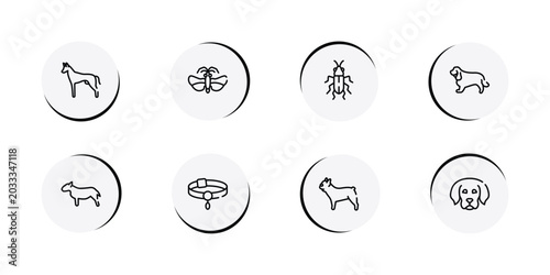 Tableau sur toile pet lovers outline icon set featuring pharaoh hound, null, red soldier beetle, english cocker spaniel icons