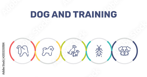 Photos dog and training outline icon set featuring japanese chin, bichon frise, dog and doggie, null icons