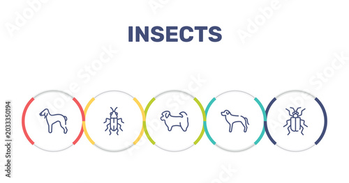 Foto insects outline icon set featuring bedlington terrier, red soldier beetle, shih tzu, rottweiler icons