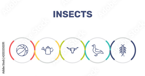 Foto insects outline icon set featuring basketball ball, watering can, bull, goose icons