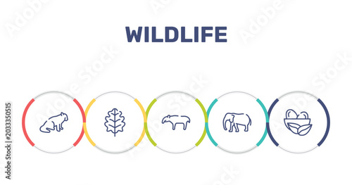 Canvas Print wildlife outline icon set featuring red panda, oak leaf, tapir, elephants icons