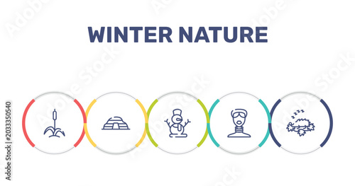 Foto winter nature outline icon set featuring cattail, cradle of humankind, snowman, african icons