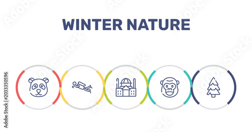 Photography winter nature outline icon set featuring panda, diving, basilica, gorilla icons