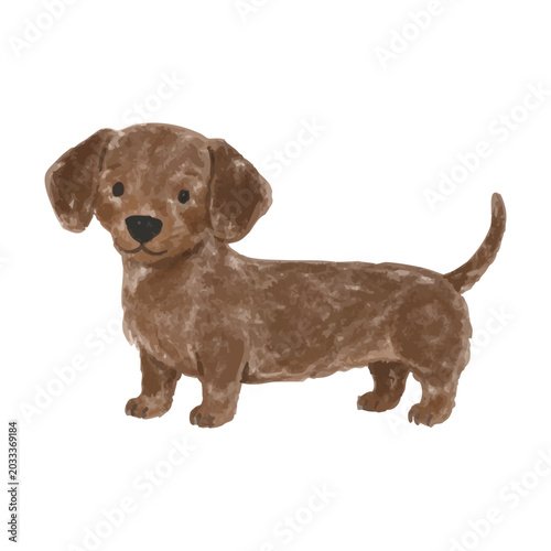 Cute Dachshund Puppy Clipart, Hand Drawn Sausage Dog Illustration, Watercolor Style Pet PNG, Adorable Dog Character