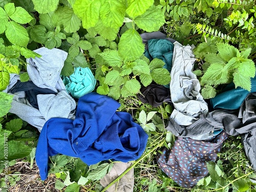 Fotografija Old discarded clothes scattered in a forest clearing