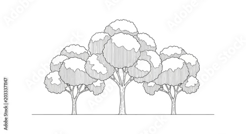 three trees line art illustration showing nature and landscape elements perfect for graphic design or architectural plans