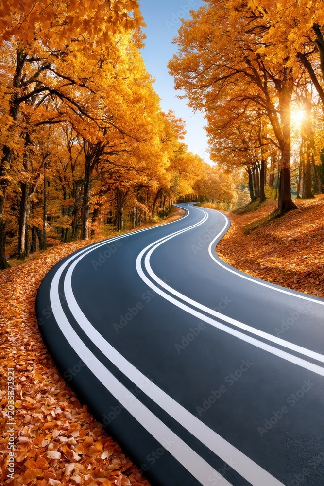 Fototapeta premium Winding road through golden autumn trees with sunlight filtering over a quiet curved highway