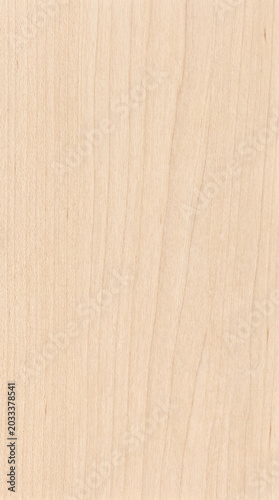 Very light birch maple wood grain surface texture background