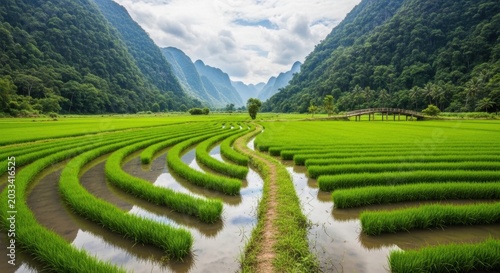 Lush green rice terraces in Vietnam, a winding path through water and mountains under a cloudy sky, showcasing agricultural beauty.