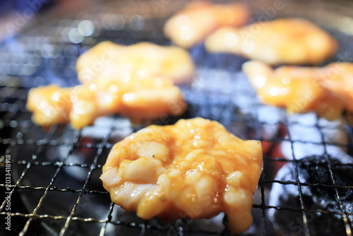 ホルモン焼肉（シマチョウ）