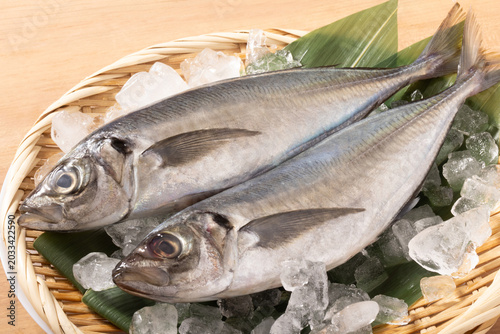 ［長崎県産］真あじ（天然）
