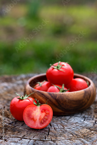 Basket with fresh tomatoes on wooden background. Outdoor, in the garden, on the farm.