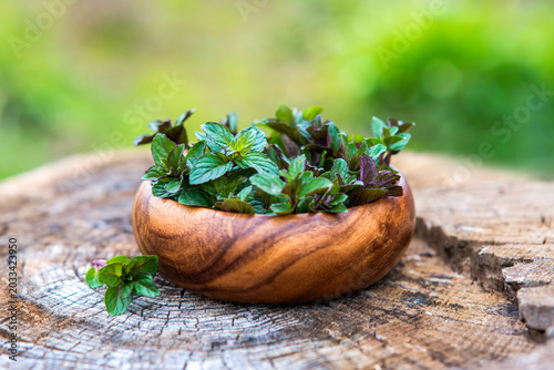 Mint in wooden plate on natural wooden background, peppermint, selective focus, close up