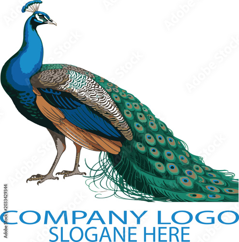 Elegant Peacock Logo Design with Vibrant Blue and Green Stylized Feathers