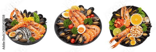 Assorted raw marine item processing specimen showcasing structural culinary parameters, organic material components, substance density, and moisture level metrics within food science database file