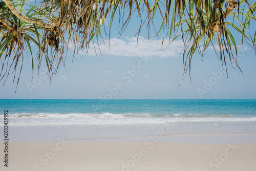 Konstfotografi A serene beach scene with gentle waves lapping at the shore, framed by lush greenery and a clear blue sky