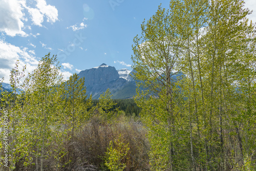 Stunning summer landscape of the Canadian Rocky Mountains and a calm river in Canmore, Alberta. Near Banff National Park with towering mountain peaks, Three Sisters. 