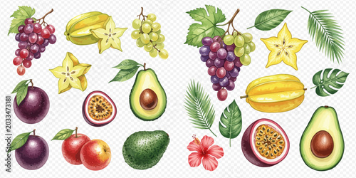 Foto Watercolor illustration set of fresh tropical fruits including grapes, star fruit, passion fruit, plums, apples, and avocados, perfect for healthy eating designs