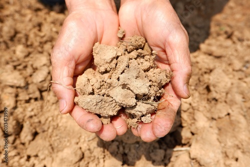Hand Holding Cracked Dry Earth Representing Drought Crisis