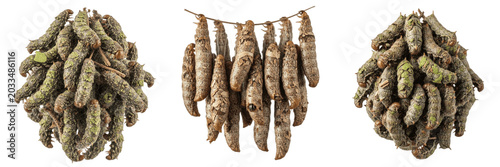Bild auf Leinwand Swarm of silkworm caterpillars, Bombyx mori, Bombycidae family, sericulture faci