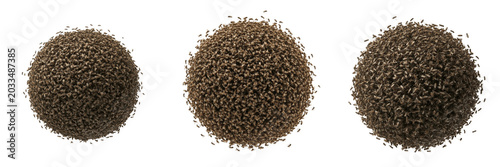 Swarm of insects forming wave motion, Culicidae family, mosquito undulating flight trajectory corridor, air currents laminar interaction lines, synchronous group transit tracking profile index