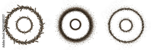 Photos Swarm of insects forming scattered pattern, Muscidae family, housefly random dis
