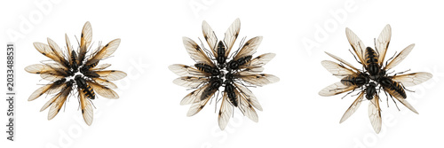 Tableau sur toile Swarm of insects frozen mid-flight, Apis mellifera, honeybee high-speed wing cap