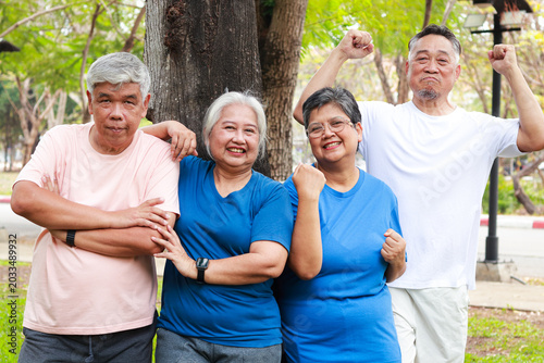 Group of happy Asian seniors showing strength and smiling in the park, representing healthy aging, active lifestyle, and retirement wellness in a beautiful green nature setting.