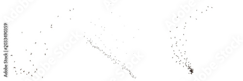 Schilderij op canvas Swarm of insects forming dense cloud, Chironomus plumosus, non-biting lake midge