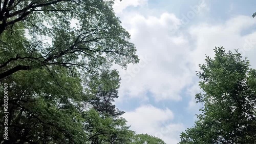 嵐の前の空模様・曇り空／The weather before the storm - cloudy sky／폭풍 앞의 하늘 무늬 · 흐린 하늘