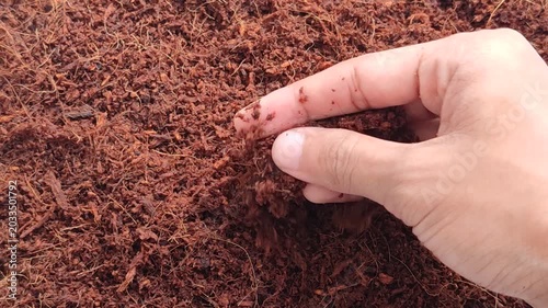 Organic cocopeat for gardening and agriculture. Natural cocopeat for planting media