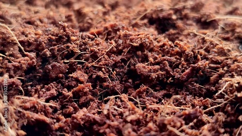 Organic cocopeat for gardening and agriculture. Natural cocopeat for planting media