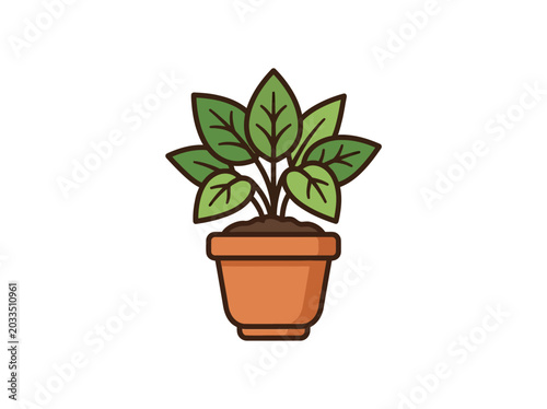 Small Potted Green Leafy Plant.