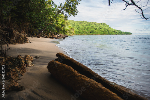 Obraz na płótnie Pacific island rainforest meets the ocean