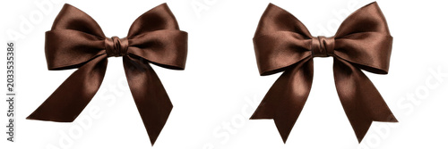 A Set of Elegant Brown Satin Hair Bows Ribbon Clipart PNG for Crafts, Fashion Accessories, Gift Wrapping and Digital Scrapbooking Designs

