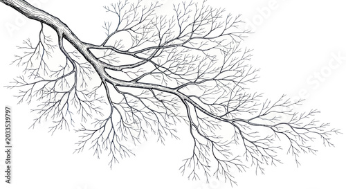 Konstfotografi Bare Tree Branch Silhouette, Winter Season, Delicate Network of Twigs