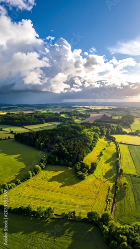 Aerial view of green fields and trees under a blue sky