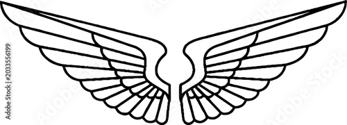 Symmetrical outspread wings with detailed feathers