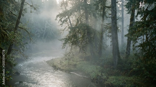 Serene Forest Stream Reflections-(Cerminan Aliran Sungai Hutan yang Damai)