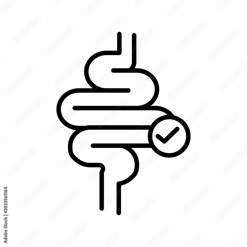 Obraz premium Intestine Icon with Check Mark, Isolated on White Background