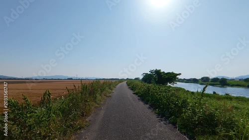POV shot of moving forward on a straight path between a river and a rice field