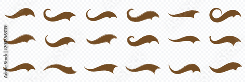 Cuadro en lienzo Swoosh and swash typography tails shape