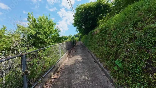 POV shot of moving forward on a narrow paved path covered with ivy and green trees