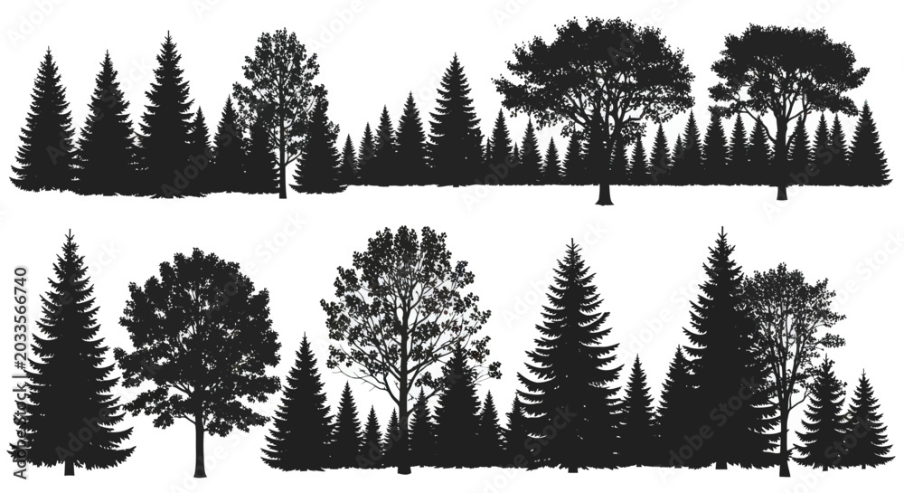 Obraz premium Diverse Forest Silhouette Collection: Evergreen and Deciduous Trees