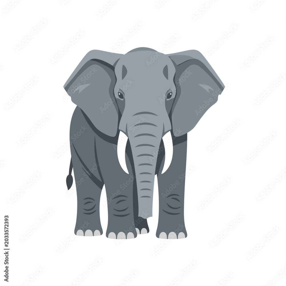 Fototapeta premium Gray Elephant Standing Alone Front View.