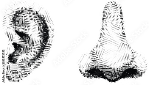 Konstfotografi 3D vector ear and nose models constructed from halftone dots with transparent background
