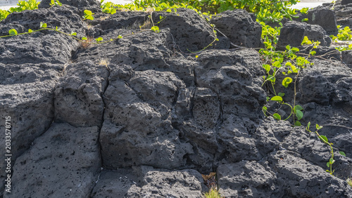 Quadro su tela Black volcanic rock, close-up